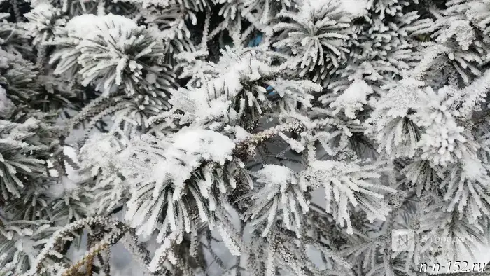 Snowfall will hit Nizhny Novgorod at the end of November.