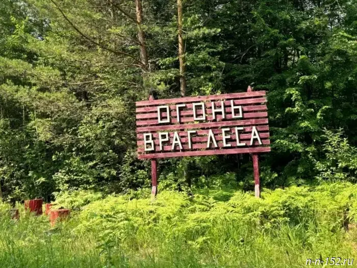 The Ministry of Forest Resources reminds residents of Nizhny Novgorod to follow fire safety rules in the forests.