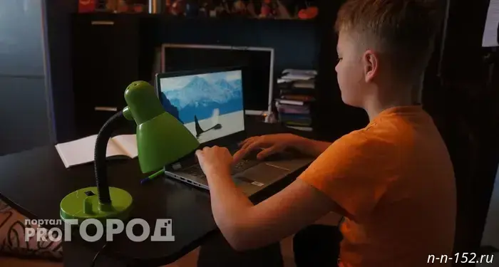 Родителей учеников из Нижнего Новгорода начали обманывать, выдавая себя за репетиторов в школе и требуя деньги.