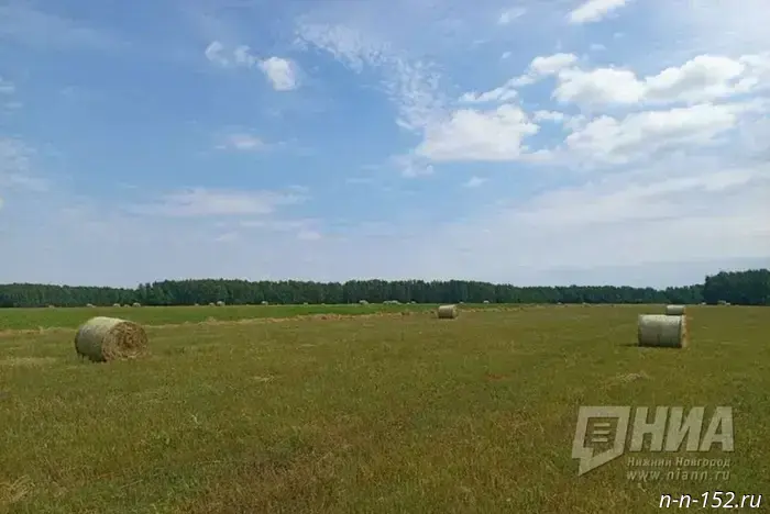 Authorities will reimburse the expenses of eight Nizhny Novgorod farmers.