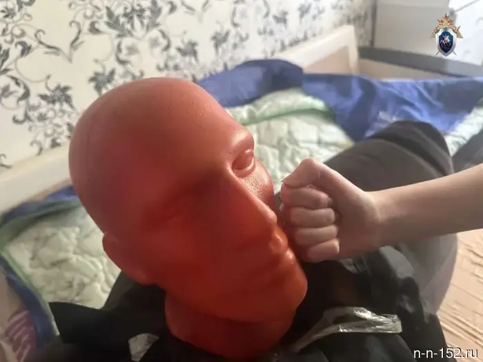 A domestic tyrant will serve 11 years for the murder of his wife in Dzerzhinsk.