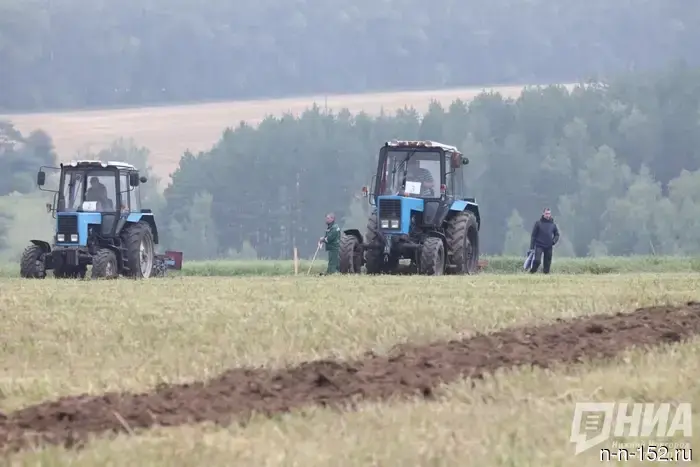 The application process for two grant competitions for the development of projects in agriculture has started in the Nizhny Novgorod region.