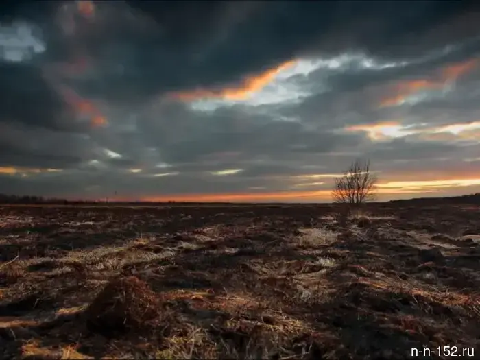 The soils of Nizhny Novgorod have entered the "moderately hazardous" category of pollution.