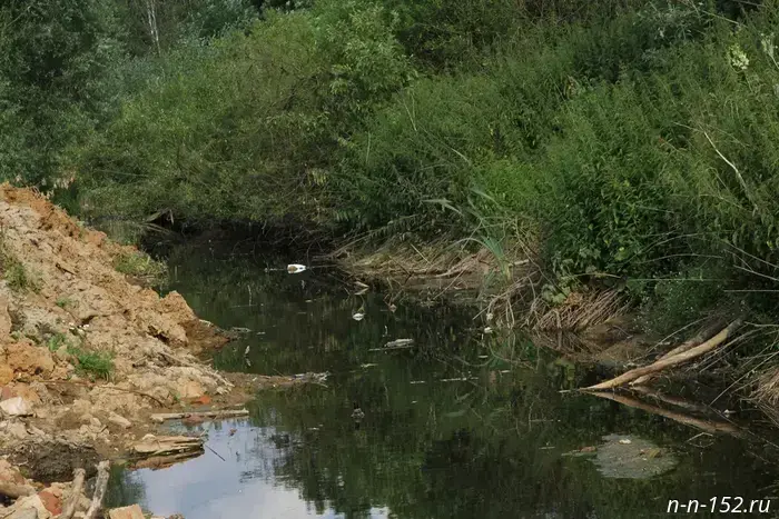 Residents of Pavlov complained about the stench and fish deaths caused by river pollution.