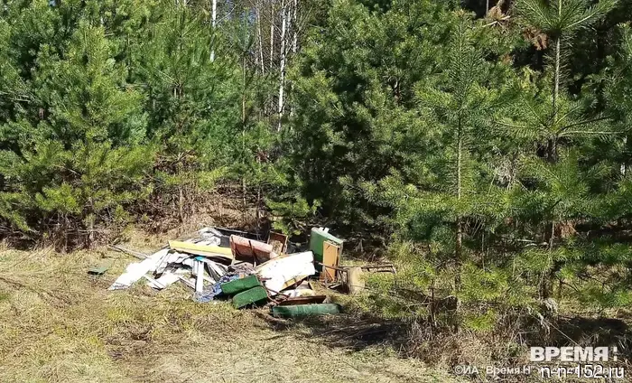 The Federal Service for Supervision of Natural Resources has recovered over 780,000 rubles from the administration of Dzerzhinsk through the court for a landfill in the forest.