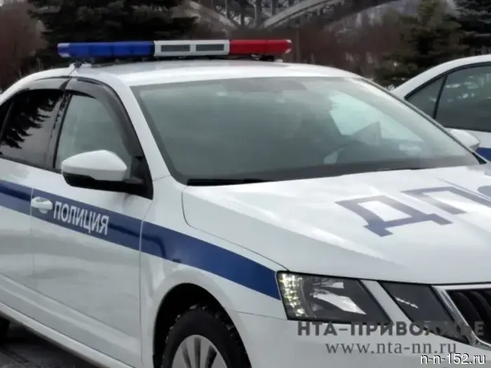 Участников потасовки в Дзержинске поместили под домашний арест.