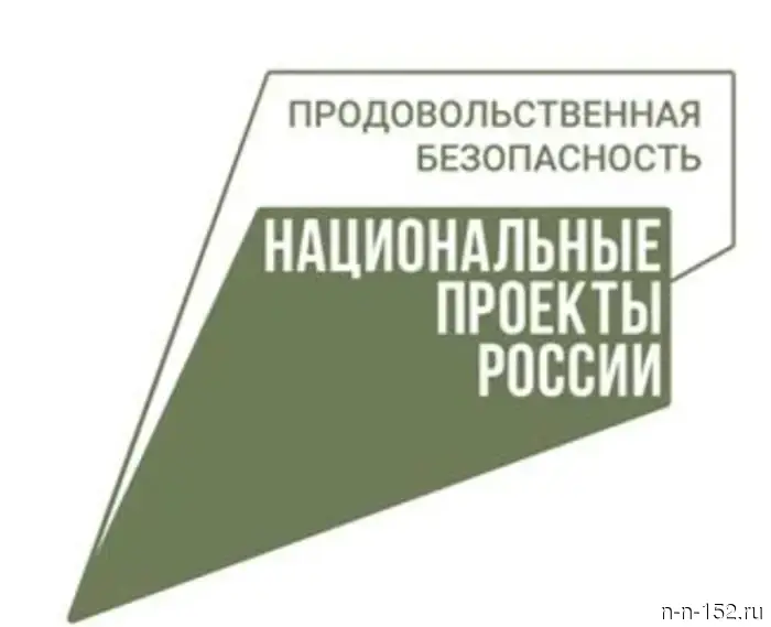 На заседании антикризисного штаба под руководством Глеба Никитина была рассмотрена ситуация в молочном скотоводстве.