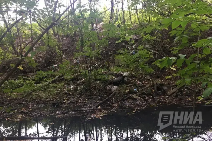 Фонтан планируют установить для поддержания водного уровня в Борзовке.