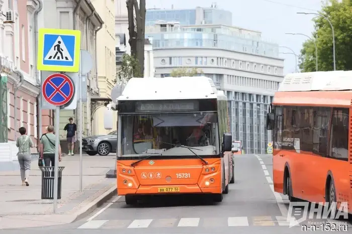 A carrier for three bus routes is being sought in Nizhny Novgorod for 145 million rubles.