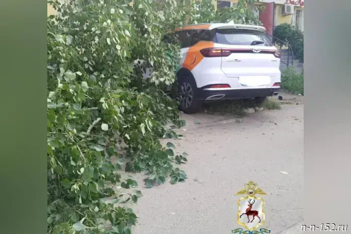 В Нижнем Новгороде нетрезвый водитель каршеринга насмерть сбил пешехода.