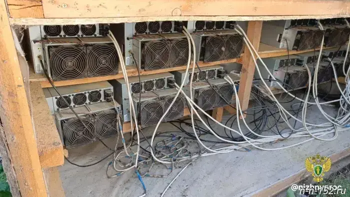 A crypto-mining farm was shut down in Bogorodsk.