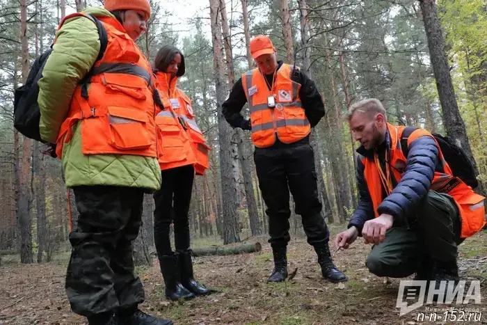 In November, 128 people went missing in the Nizhny Novgorod region.