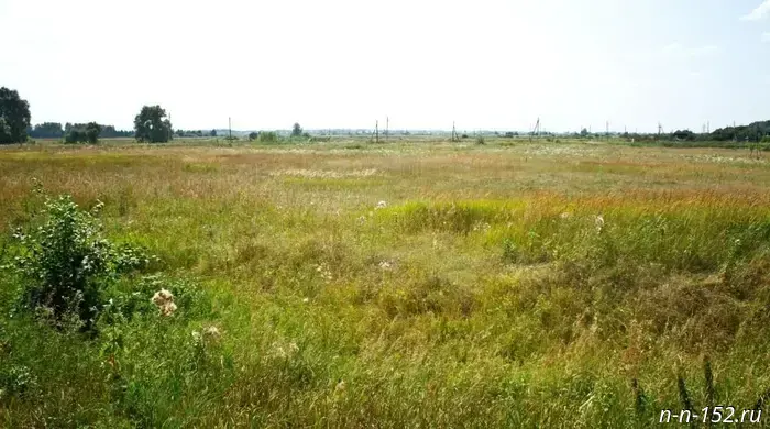 Almost half of the soil samples in Nizhny Novgorod contain microbes.