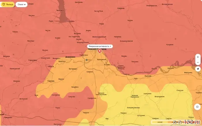 Allergy sufferers, get ready: the alder flowering has begun in the Nizhny Novgorod region.