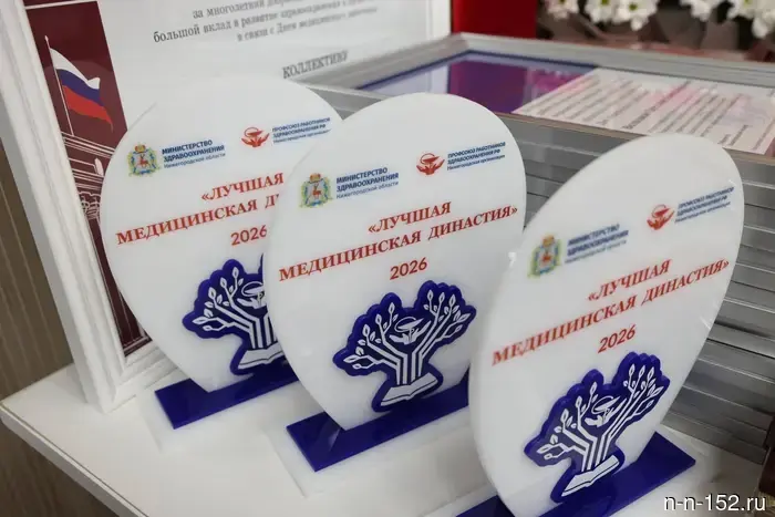 Nizhny Novgorod medics received awards for high work results.