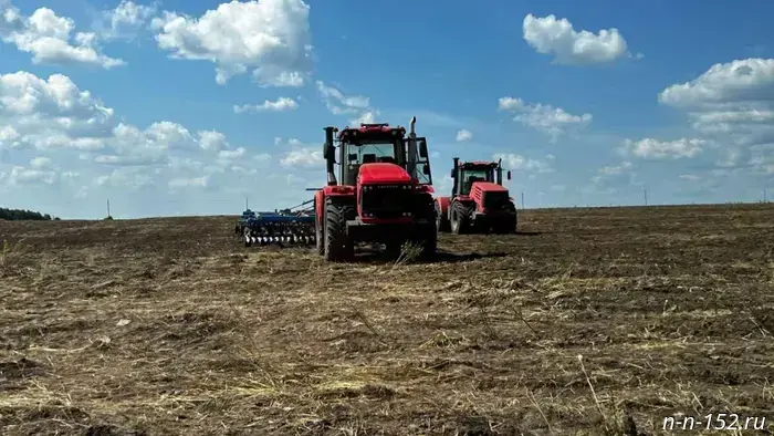 Nizhny Novgorod farmers will sow more than 230,000 hectares with winter crops.