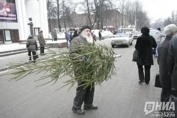 Residents of Nizhny Novgorod will be able to drop off their Christmas trees for recycling starting January 12.