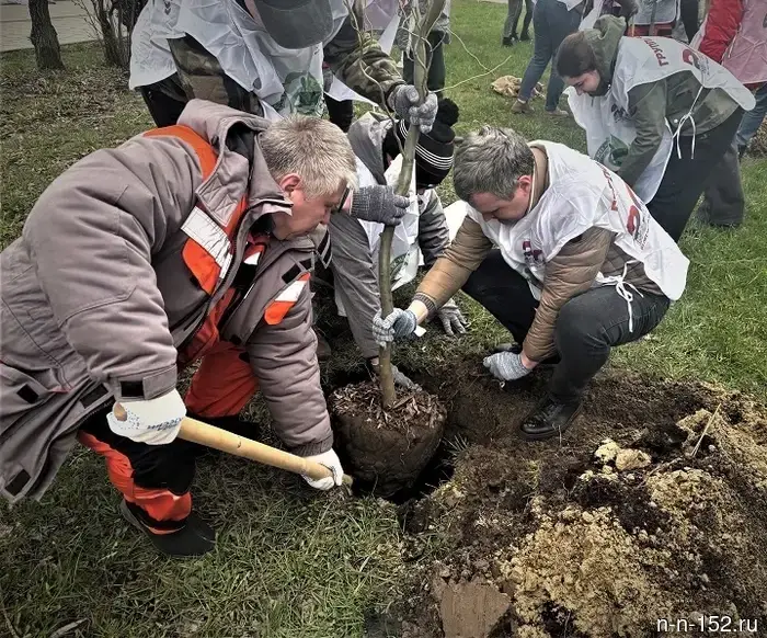 The energy workers of "T Plus" in Nizhny Novgorod became participants in the All-Russian ecological-patriotic action.