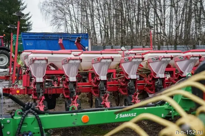 The snow helped preserve the crops in the Kstovo district.
