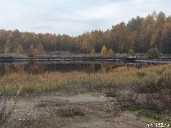 ZMZ was fined again for soil contamination at a landfill near Balakhna.