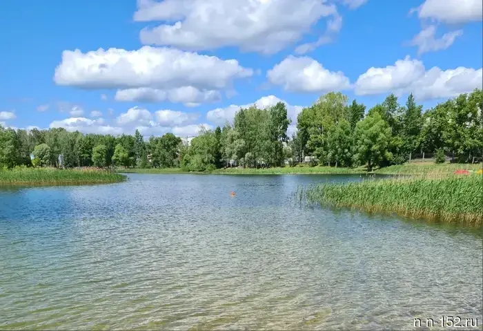 A wastewater treatment plant will be built near the Silicate Lake for 47.6 million rubles.