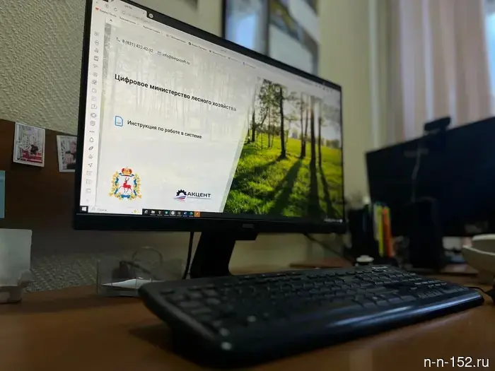 Система «Цифровой лес» обработала более 14 тысяч заявок от жителей Нижнего Новгорода в течение года.