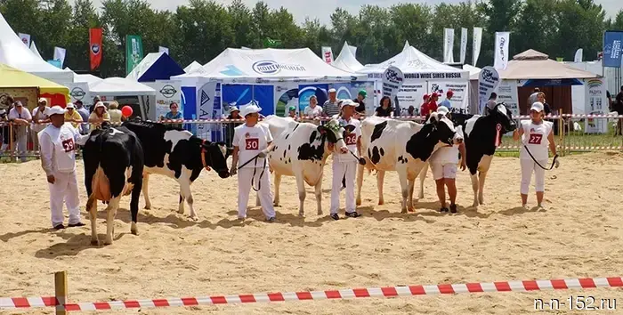 The agro-industrial exhibition "Field Day-2026" will take place in the Nizhny Novgorod region on June 26.