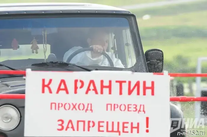 В одном из сел Нижегородской области был введен карантин по бешенству.
