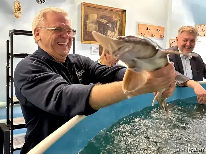 Almost 700 tons of fish are produced annually in the Nizhny Novgorod region.