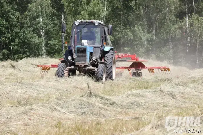 Нижегородские аграрии засеяли более 1 миллиона гектаров под урожай 2025 года.