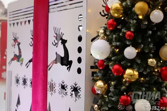 Nizhny Novgorod residents are asked to support the region's New Year's trees in the "Yolki Rossii" contest.