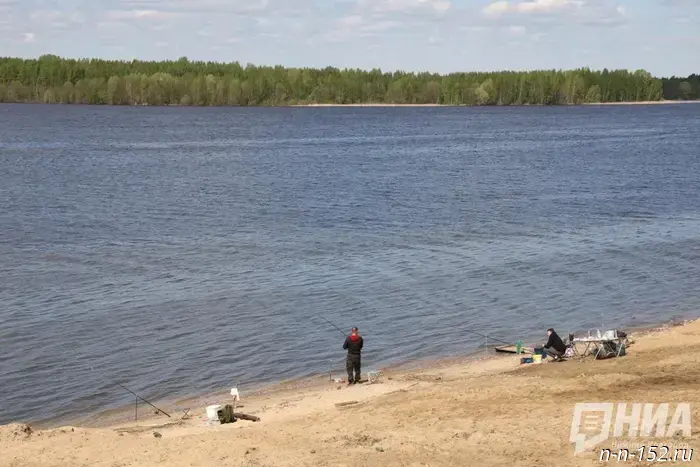 Four residents of Nizhny Novgorod died in a car accident in Pyana.