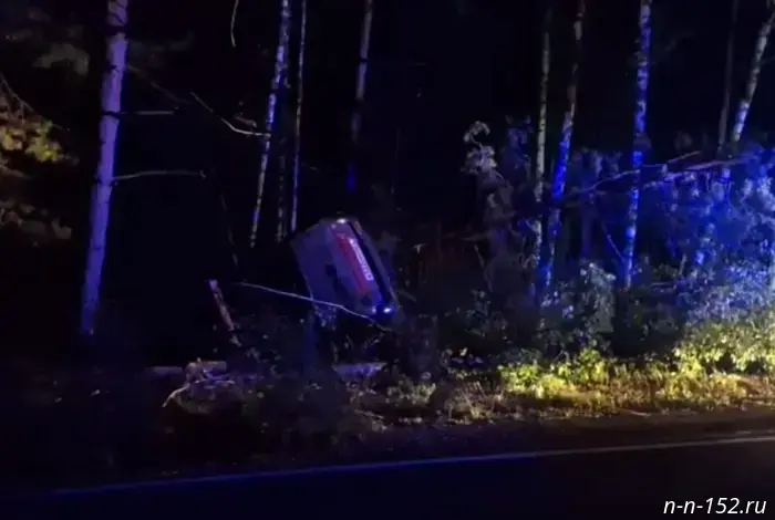 A man was killed in a crash with a moose in Bor.