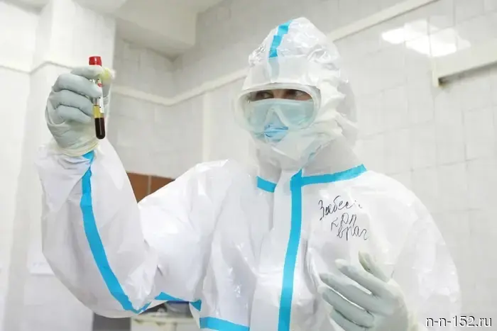 Rospotrebnadzor denied the information about hantavirus at the Nizhny Novgorod airport.