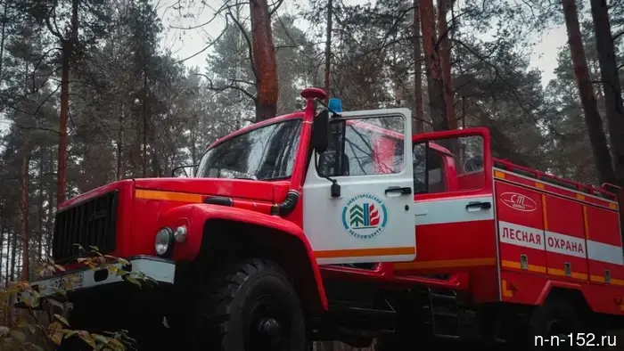 По результатам проверки Нижегородская область была признана готовой к пожароопасному сезону.