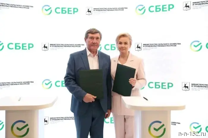 In the Nizhny Novgorod region, measures are being implemented to reduce hazardous plants using Sber's digital solutions.