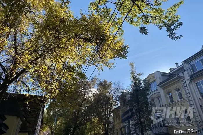 The Proviant Street in Nizhny Novgorod will be freed from wires.