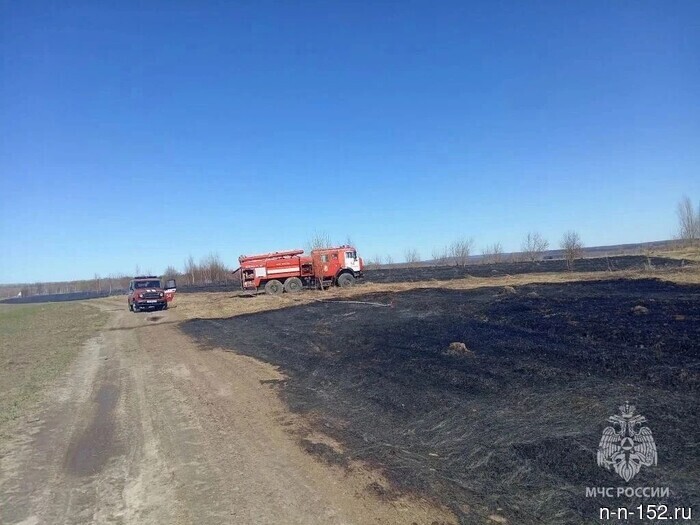 The number of wildfires in the Nizhny Novgorod region has decreased by 6 times.