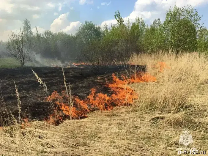 В Нижегородской области зарегистрировано 27 случаев возгорания сухой травы.
