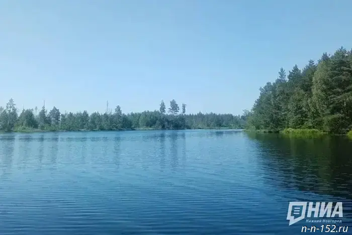 From relict crustaceans to elodea: what scientists discovered in Khalzovskoye Lake