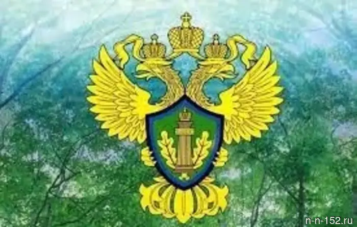 На Балахнинском полигоне ТБО обнаружены нарушения экологических стандартов.
