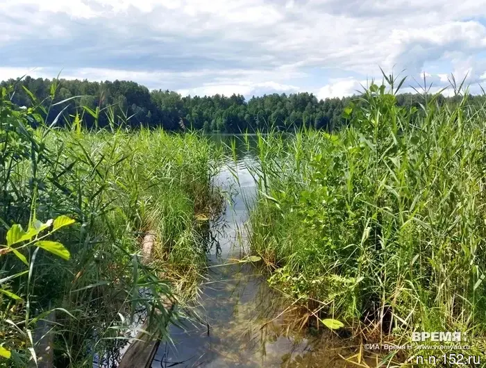 Десять водоемов в Нижнем Новгороде подходят для купания.