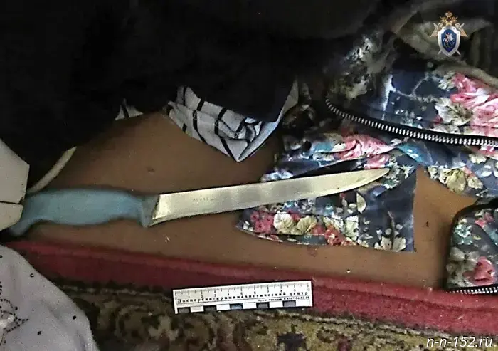 In Gorodets, a man inflicted more than 60 stab wounds on a woman with a knife and other objects.