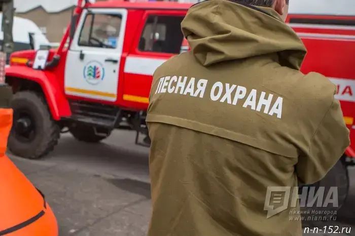Rescue services warn of high fire hazard in the Nizhny Novgorod region.