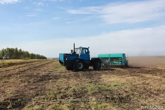 In the Nizhny Novgorod region, the preparation of feed has begun.
