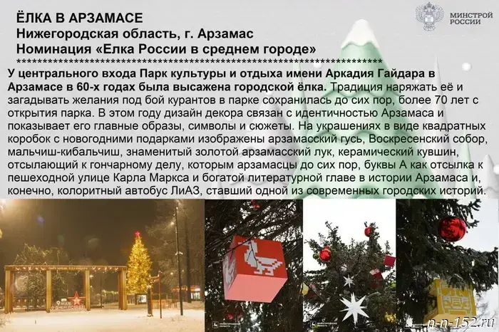 Nizhny Novgorod residents are asked to support the region's New Year's trees in the "Yolki Rossii" contest.