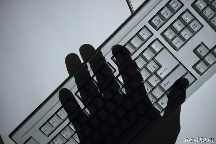 The Nizhny Novgorod Committee of Veterinary Medicine reported DDoS attacks on its resources.