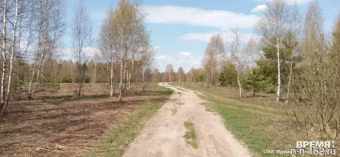 Нижегородцев 29 марта ожидает ясная и теплая погода.