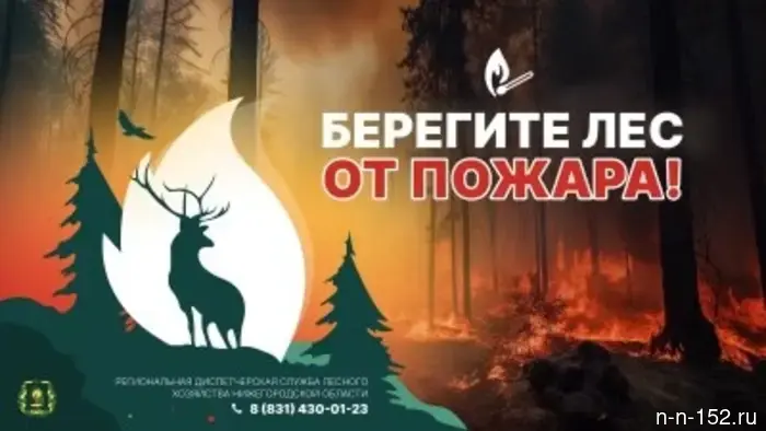 Нижегородский Минлесхоз подчеркивает значимость соблюдения правил пожарной безопасности в лесах.