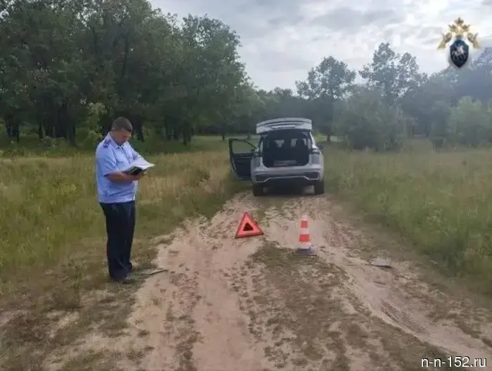 Директора НКО предстанут перед судом за смерть ребенка на спортивных сборах в Дзержинске.